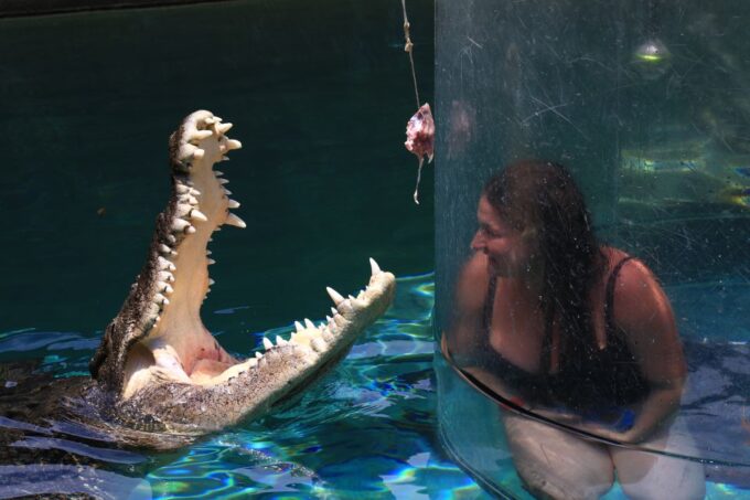 Cage Of Death Crocodile Swim and Entry to Crocosaurus Cove - Indemnity Release Form