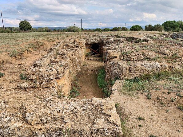 Cagliari: Alghero Full Day Private Tour Experience - Key Points