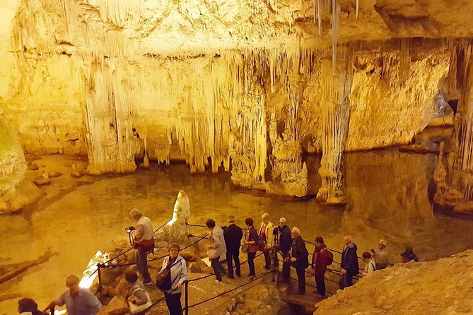 Cagliari: Alghero Full Day Private Tour Experience - Pricing and Availability
