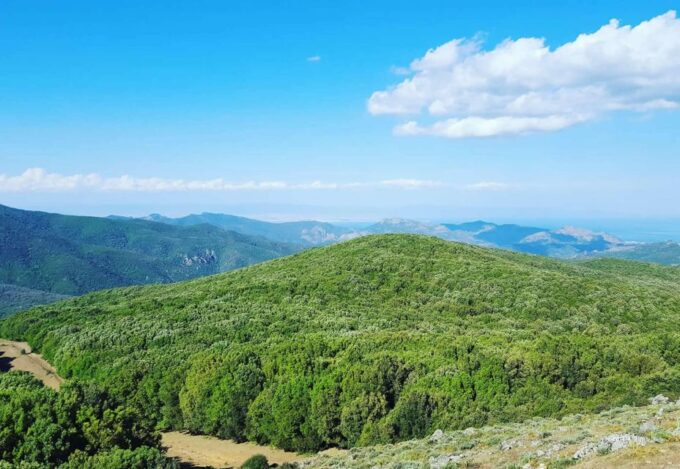 Cagliari: Between the Mountains & Sea Tour by Jeep & Dinghy - Dietary Requirements and Restrictions