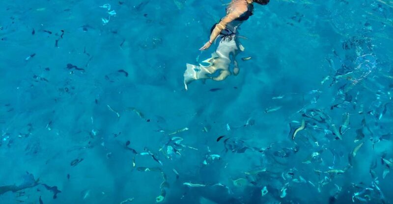 Cagliari: Boat Tour With Swim Stops, Snorkeling & Sea Cave - Itinerary Highlights