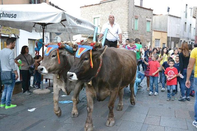 Cagliari: Discovering the Heart of Sardinia - Quick Points