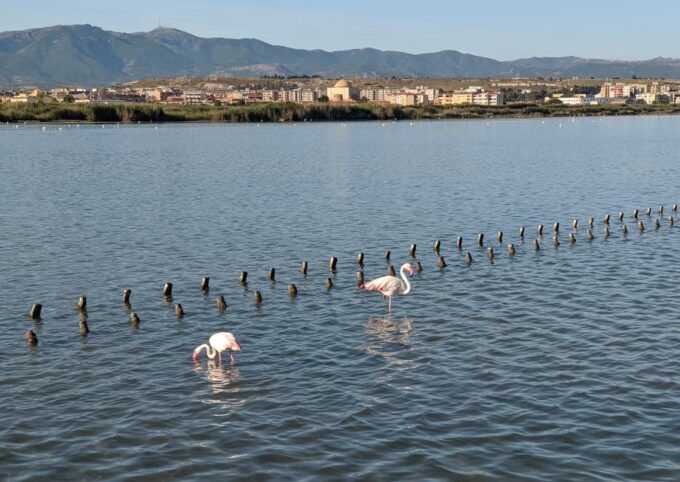Cagliari: Electric Bike Nature Tour - Calamosca Lighthouse Panoramic Views