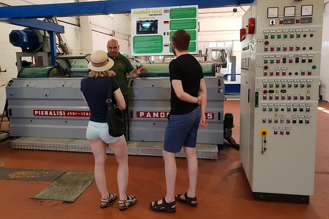 Cagliari: Experience Tasting From Chia - Olive Oil Mill Visit