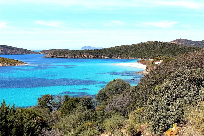 Cagliari: Full-Day Fishing Tourism From Teulada - Meeting Point and Start Time