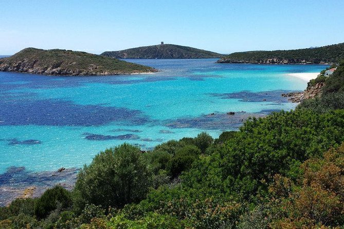 Cagliari: Full-Day Private Tour of Sardinias Hidden Beaches From Chia - Key Points