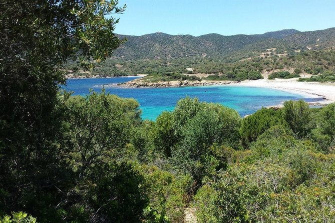 Cagliari: Full-Day Private Tour of Sardinias Hidden Beaches From Chia - Freshly Cooked Seafood Lunch