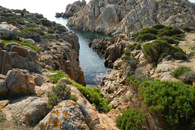 Cagliari: Full-Day Private Tour of Sardinias Hidden Beaches From Chia - Private Tour Upgrade Option