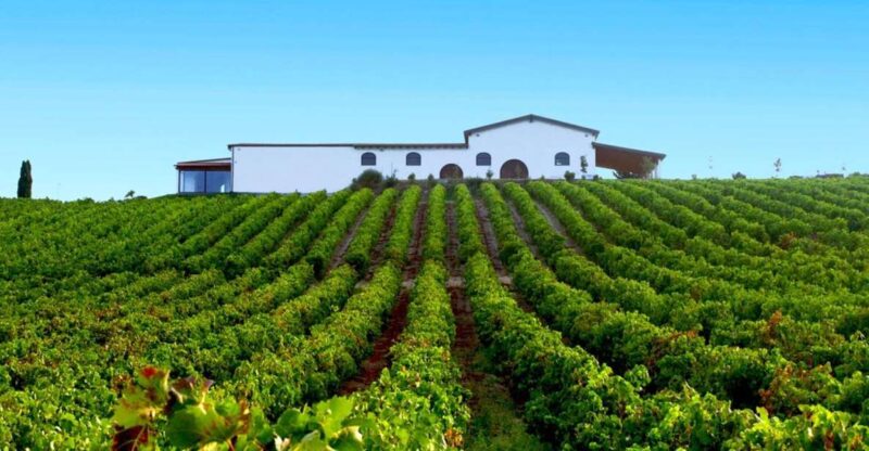 Cagliari: Full-Day Private Wine Tasting With Lunch - Transportation and Accessibility