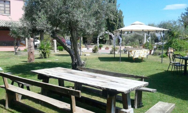 Cagliari: Full-Day Private Wine Tasting With Lunch - Guide and Languages