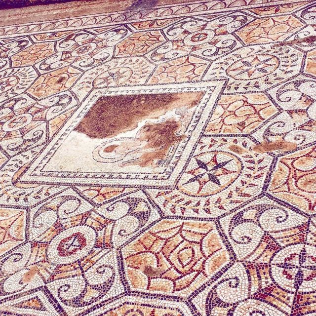 Cagliari: Half-Day Nora Archaeological Site Shore Excursion - Experience Highlights