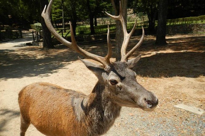 Cagliari: Is Cannoneris Nature Reserve Jeep and Walking Private Tour From Chia - Cancellation Policy and Pricing
