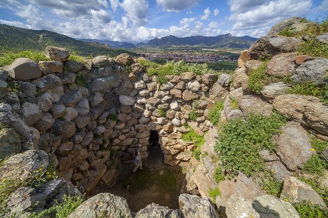 Cagliari: Is Cannoneris Nature Reserve Jeep and Walking Private Tour From Chia - Savoring Sardinian Culinary Delights