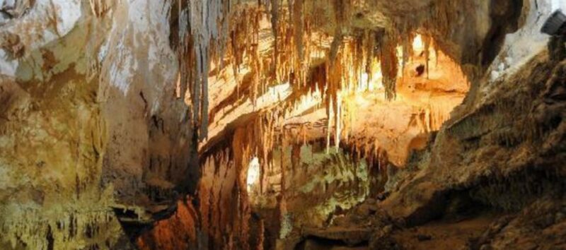 Cagliari: Is Zuddas Caves Shore Excursion - Highlights of the Experience