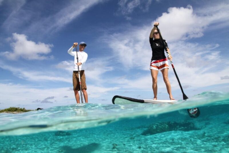 Cagliari: Ocean SUP Sightseeing Tour - Key Points
