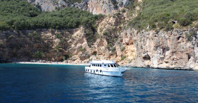 Cagliari: Orosei Gulf Hop-On Hop-Off Mini Cruise - Transportation and Amenities