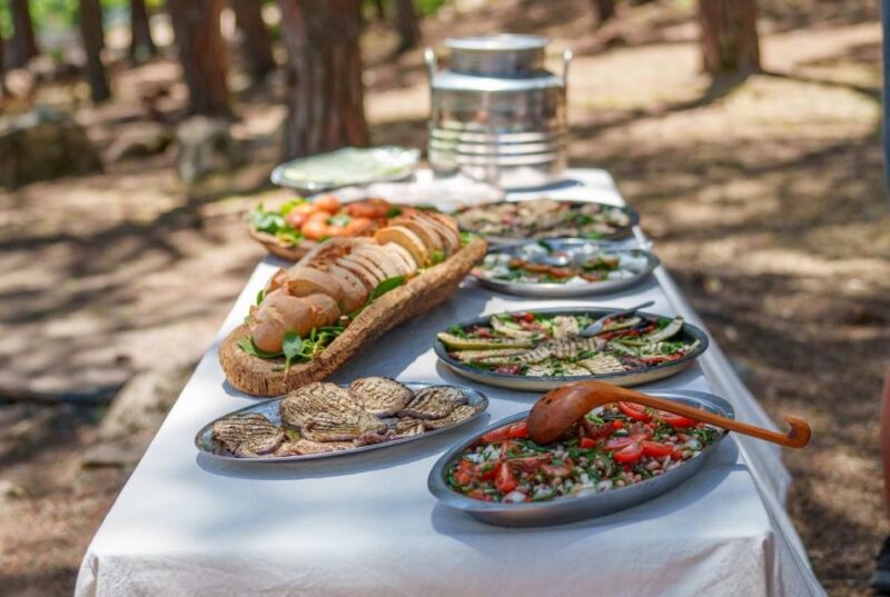 Cagliari: Picnic With Sardinian Donkeys - Key Points