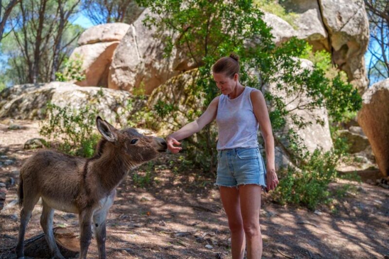 Cagliari: Picnic With Sardinian Donkeys - Experience Highlights