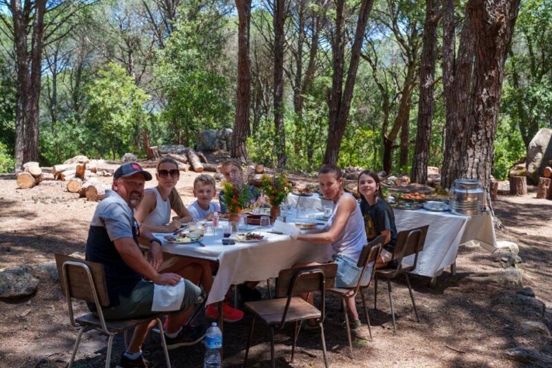 Cagliari: Picnic With Sardinian Donkeys - Donkey Interaction