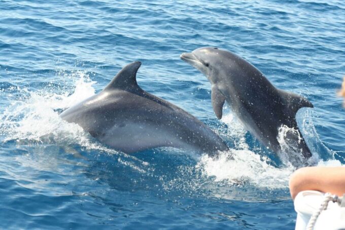 Cagliari: Private or Small Group Fishing Trip Experience - Flexibility and Availability