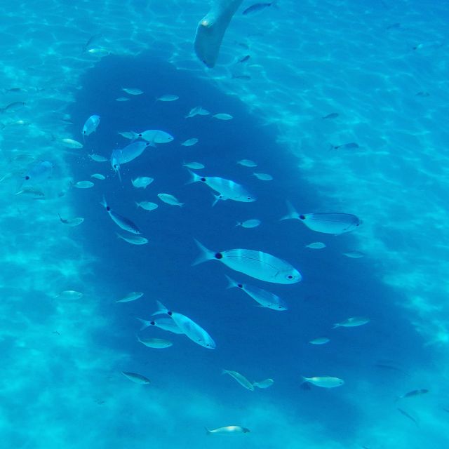 Cagliari: Private Wood Boat Tour Experience From Teulada - Coastal Exploration