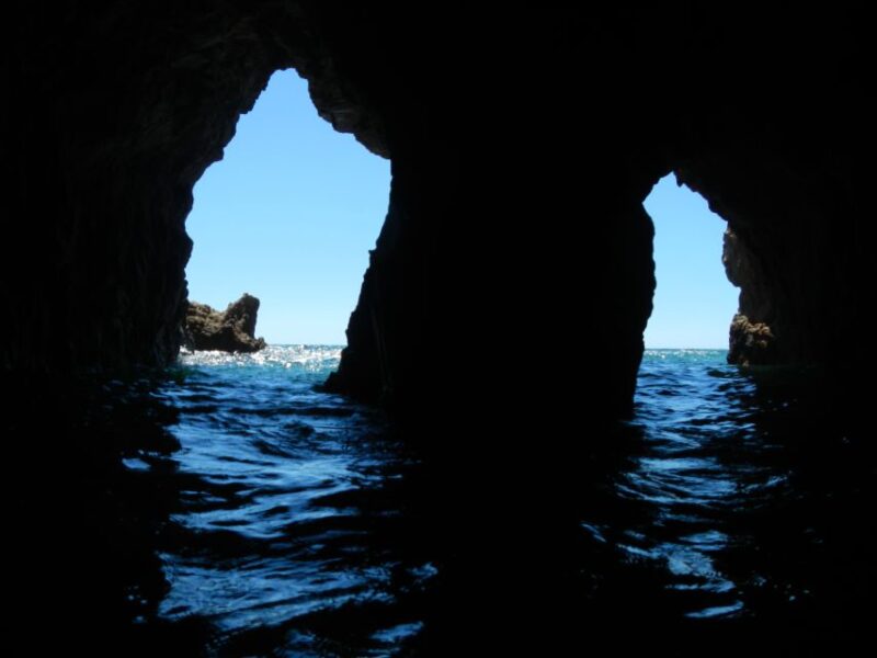 Cagliari: Professional Guided Coasteering Shore Excursion - Activities and Experience