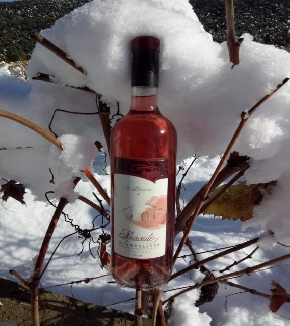 Cagliari: Sardinia... En Rose! the Best Local Rosè Wines - Booking and Pricing Information