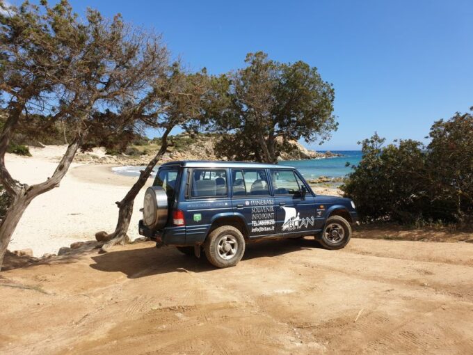 Cagliari Shore Excursion: Amazing Hidden Beaches Jeep Tour - Customer Reviews and Ratings
