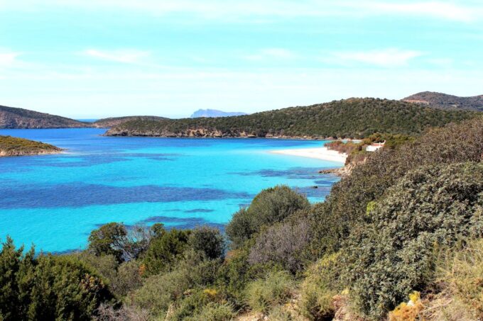 Cagliari Shore Excursion: Amazing Hidden Beaches Jeep Tour - Service and Organization Quality