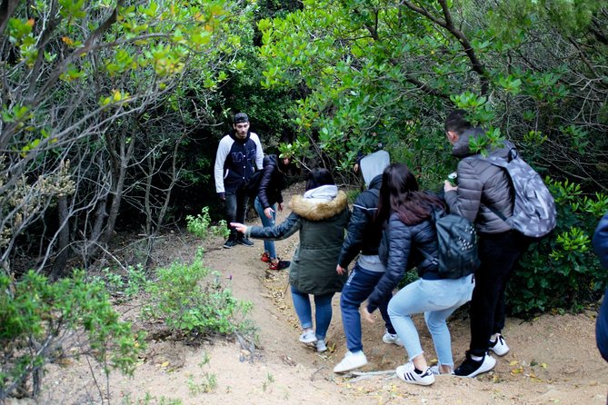 Cagliari: Trekking and Swimming at the Waterfalls From Chia - About Your Stay