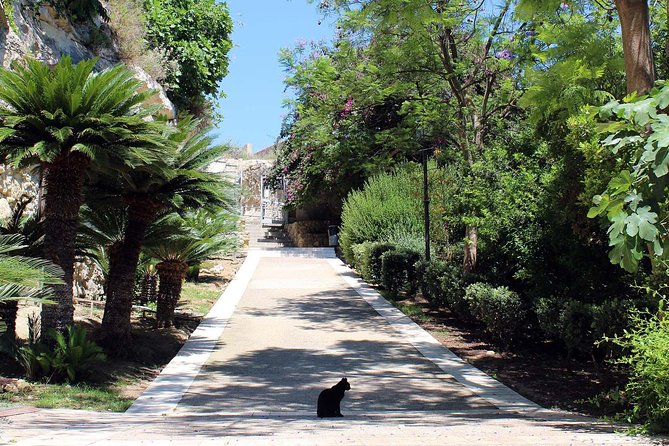 Cagliari Urban Trekking Experience: the City You Did Not Expect - Discovering Castellos Winding Alleys