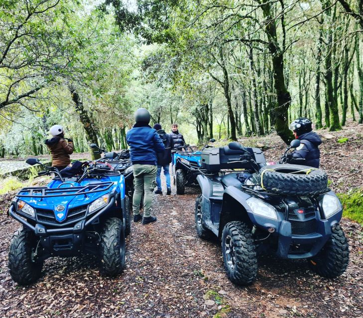 Cagliari: Waterfalls Quad-Atv Adventure From Domus De Maria - Experience Highlights