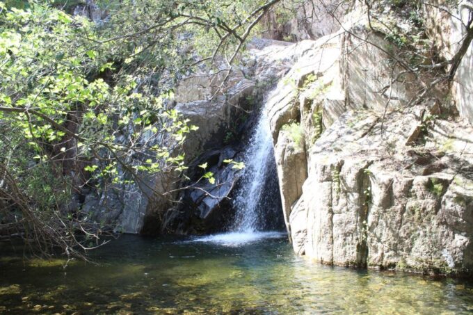 Cagliari: Waterfalls Quad-Atv Adventure From Domus De Maria - Frequently Asked Questions