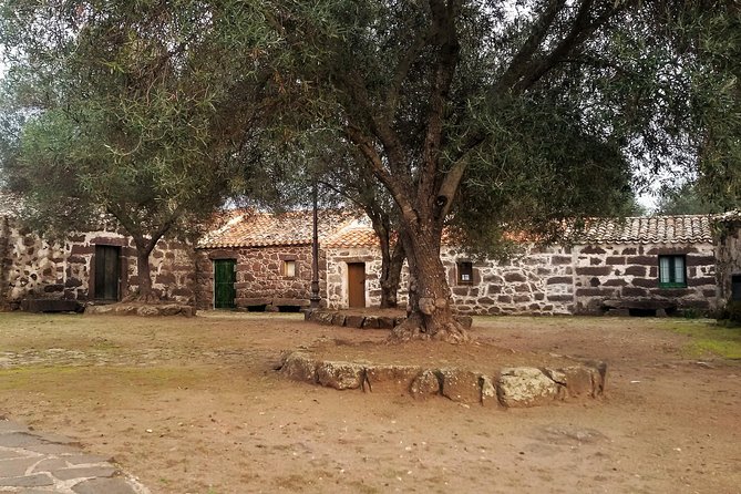 Cagliari: Well Temple and Cabras Museum - Booking and Pricing