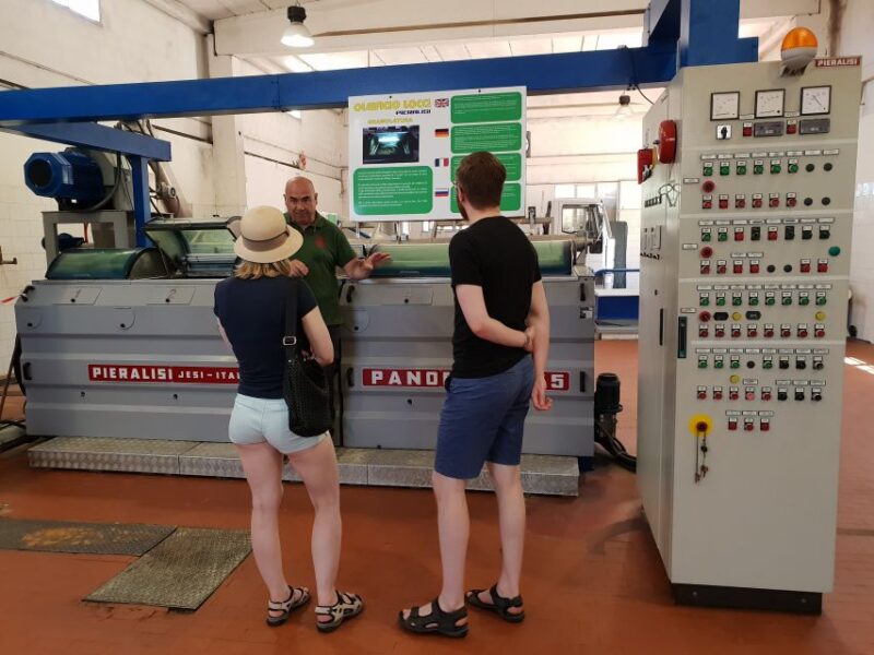 Cagliari: Wine, Cheese and Olive Oil Tasting Experience - Highlights of the Tour
