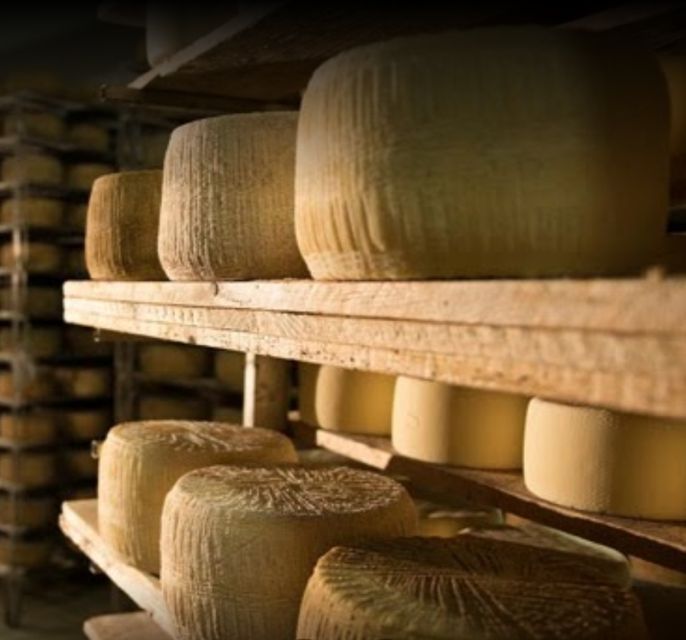 Cagliari: Wine, Cheese and Olive Oil Tasting Experience - Sardinian Gastronomy Delights