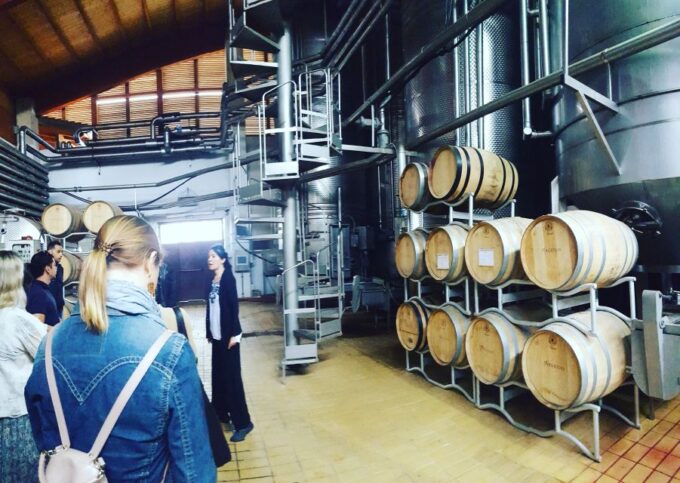 Cagliari: Wine, Cheese and Olive Oil Tasting Experience - Frequently Asked Questions