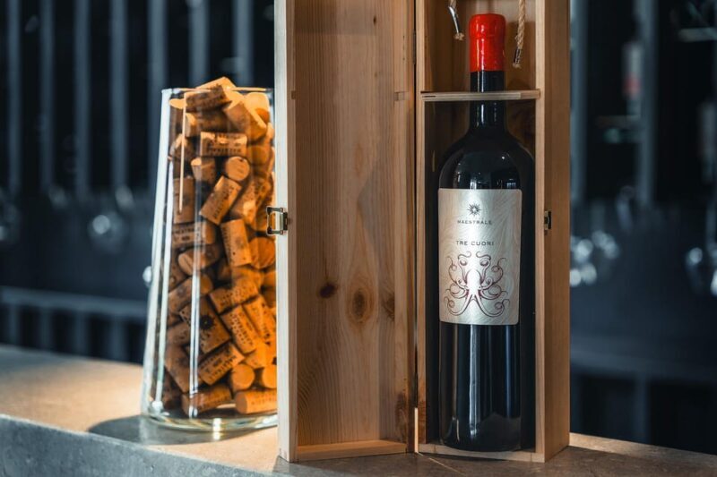 Cagliari Wine Tasting at Tenute Maestrale - Overview of the Wine Tasting Experience