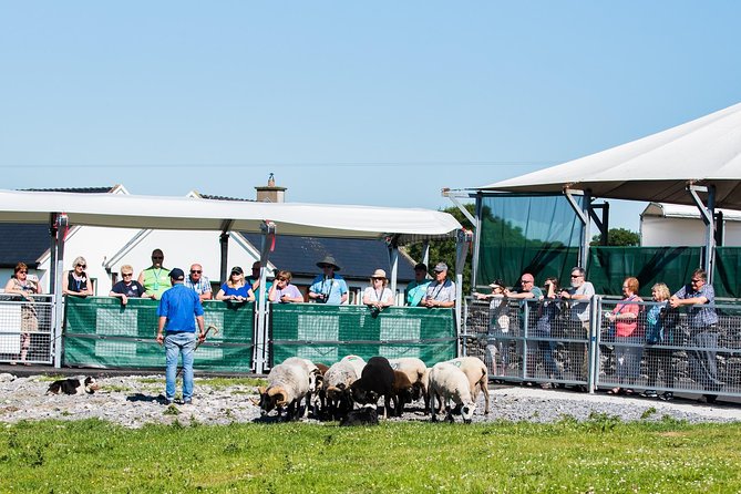 Caherconnell Fort & Sheepdog Demonstrations - Cancellation Policy Details
