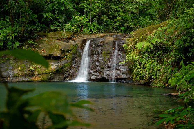 Cahuita National Park Plus Waterfalls - Tour Details