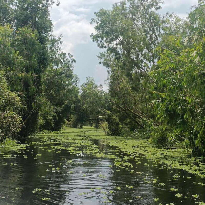 Cai Rang Floating Market and Lung Ngoc Hoang Nature Reserve - Frequently Asked Questions
