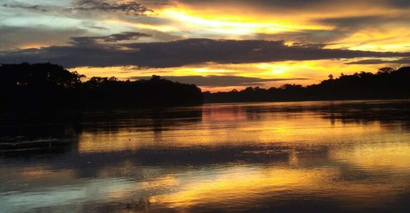 Caimans and Capibara Search on the Tambopata River - Key Points