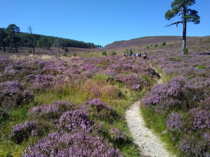 Cairngorms National Park: Mar Lodge Estate Guided Tour - Historical Significance