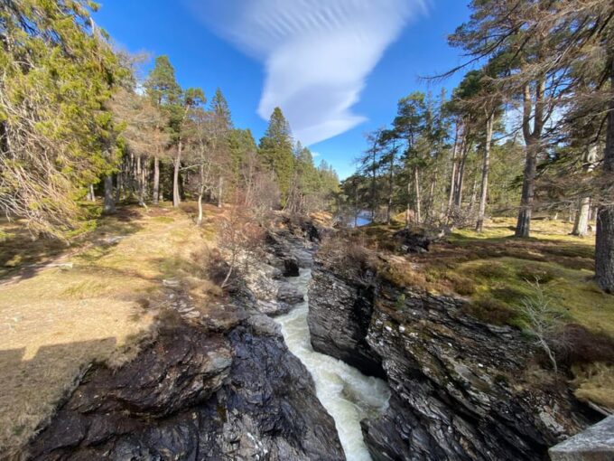 Cairngorms National Park: Mar Lodge Estate Guided Tour - Wildlife and Landscapes