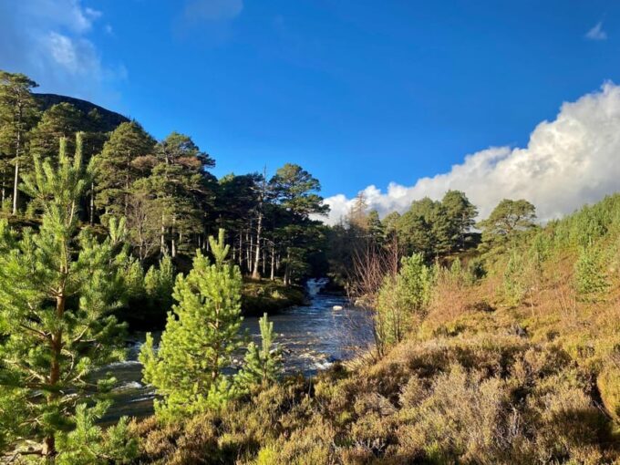 Cairngorms National Park: Mar Lodge Estate Guided Tour - Frequently Asked Questions