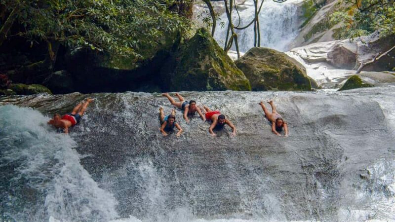 Cairns: 2-Day Atherton Tablelands & Cape Tribulation Tour - Final Thoughts