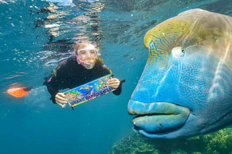 Cairns: 2-Day Barrier Reef Pontoon & Fitzroy Island Tour - Exploring the Reef on the Reef Magic Pontoon