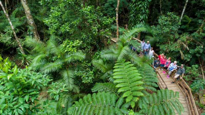 Cairns: 2-Day Great Barrier Reef & Daintree Rainforest Tour - Key Points