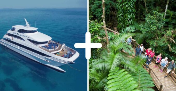 Cairns: 2-Day Great Barrier Reef & Daintree Rainforest Tour - Frequently Asked Questions