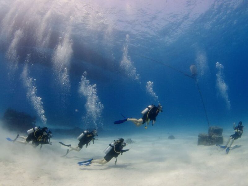 Cairns: 4-Day PADI Open Water Course - Skills Practice